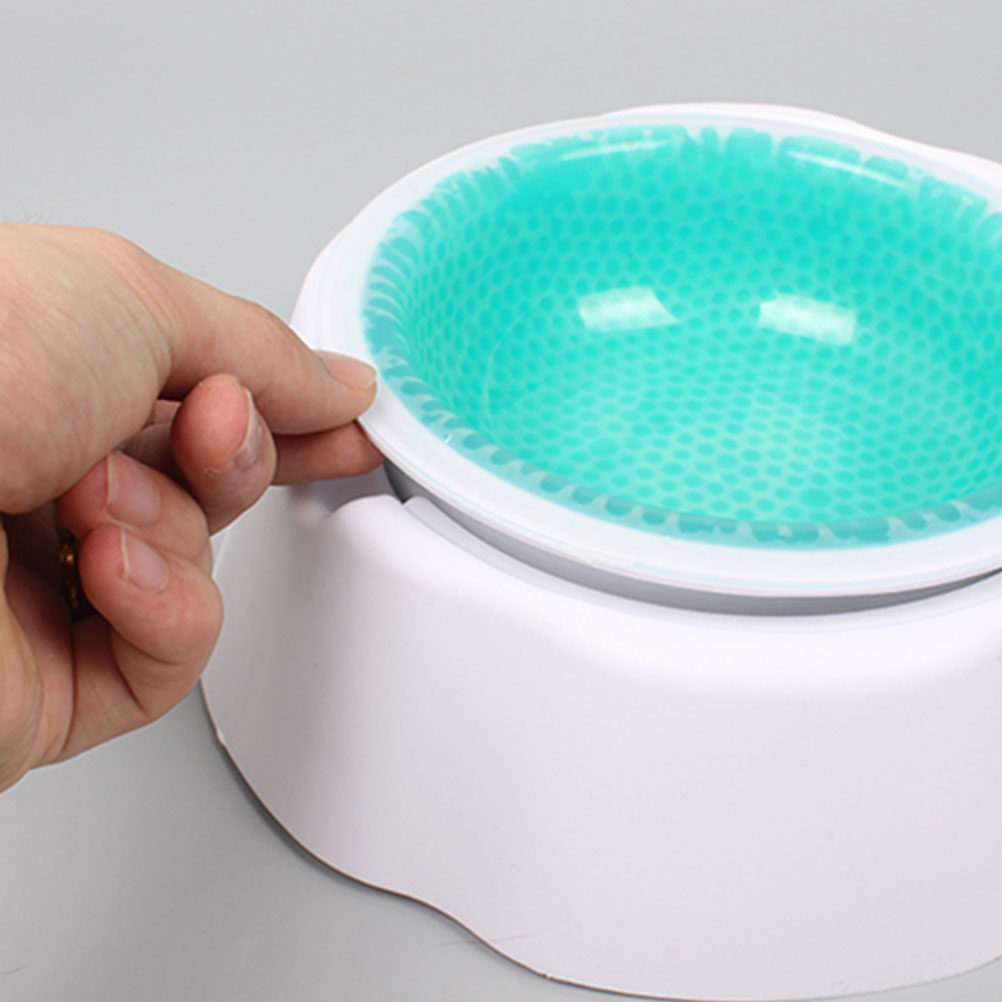 1Pcs Pet Cooler Bowl Premium P - огляд і ціна Storage Tips For Food