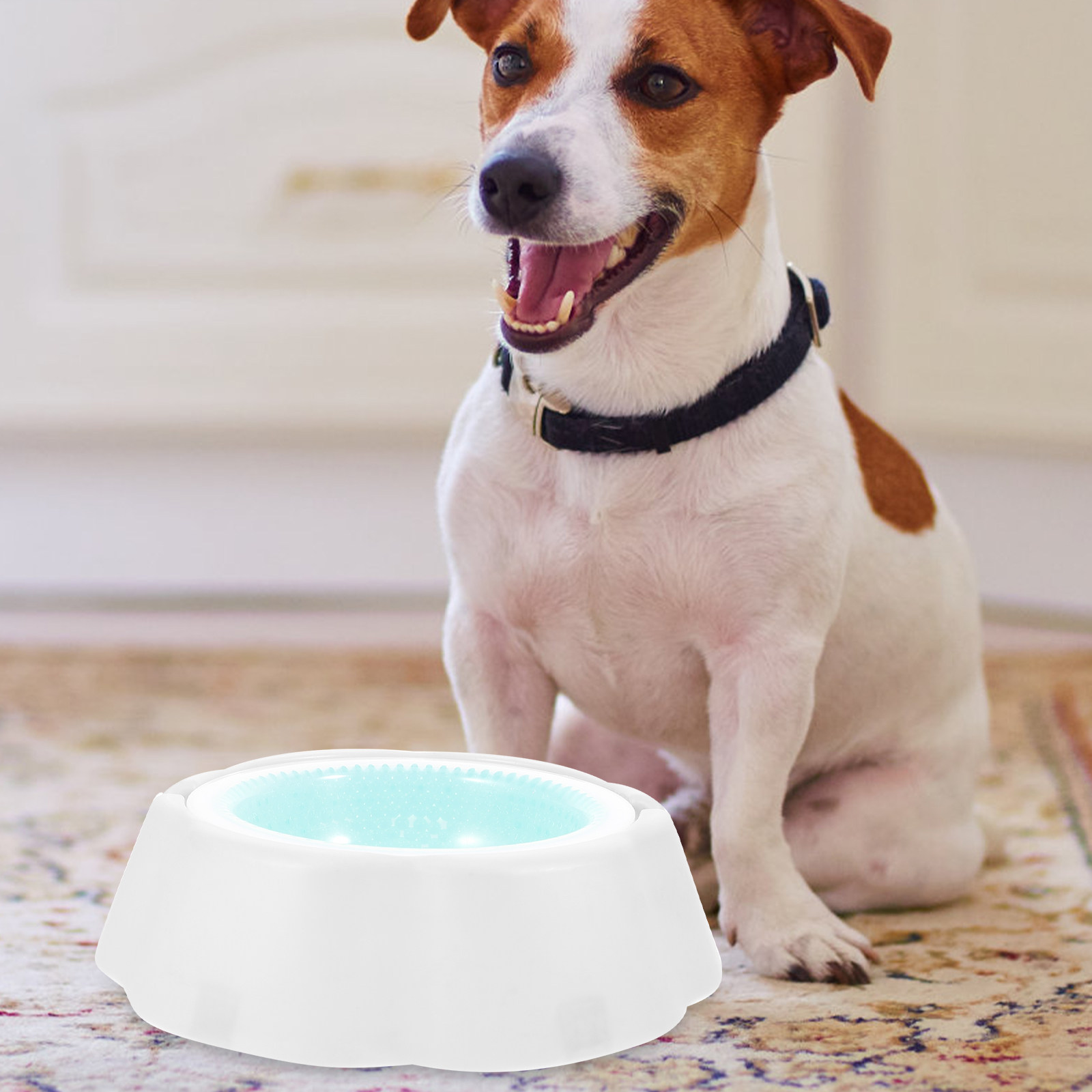 1Pcs Pet Cooler Bowl Premium P - огляд і ціна Storage Tips For Food
