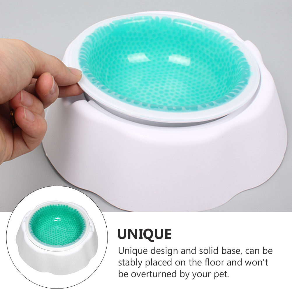 1Pcs Pet Cooler Bowl Premium P - огляд і ціна Storage Tips For Food