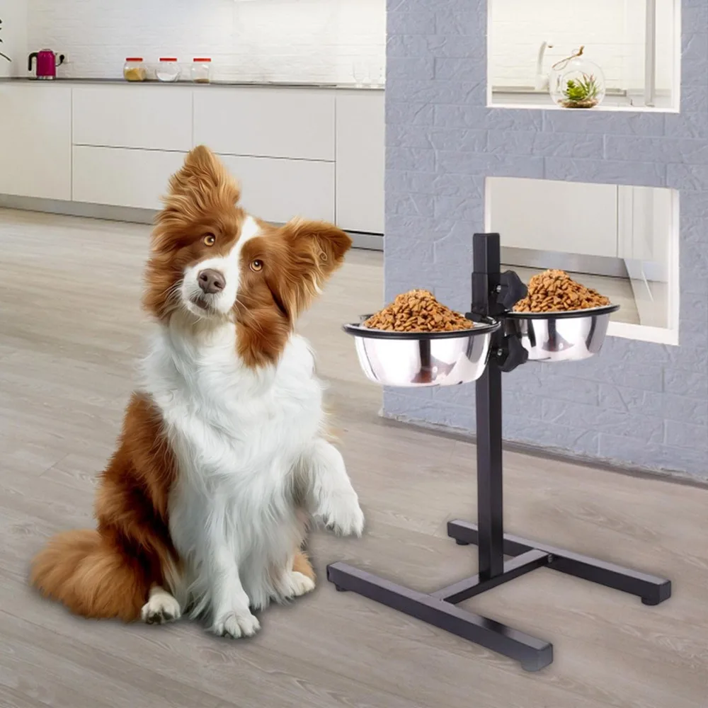 Pet Water Bowl Stainless Steel - огляд і ціна Storage Tips For Food