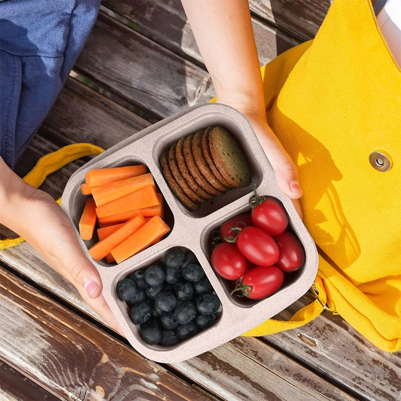 4 Grids Food Storage Box Porta - огляд і ціна Food Storage With Compartments
