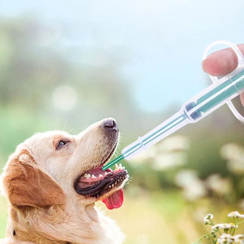2026 Pet Medicine Feeder Dispe - огляд і ціна Storage Tips For Food